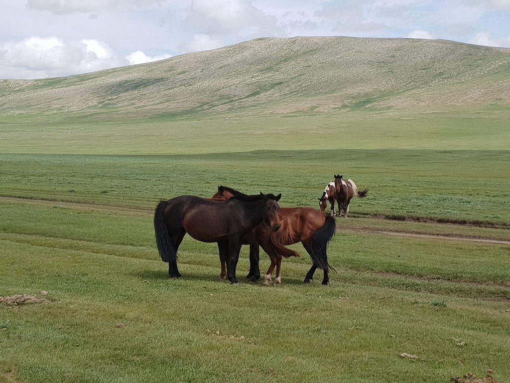 Mongolia