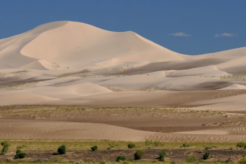 mongolia gobi