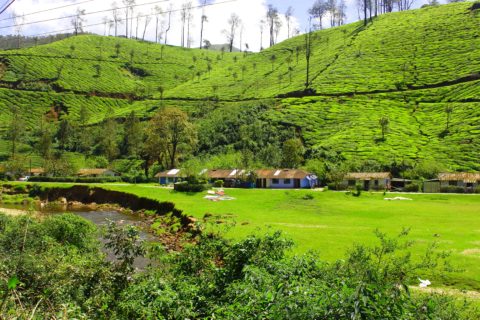 Munnar India