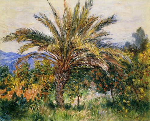 Claude Monet, Palmier à Bordighera, 1884