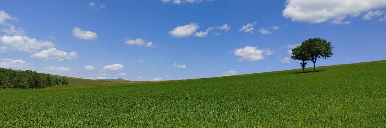 I popoli delle acque antiche: archeotrekking in Umbria tra Assisi e gli altopiani plestini