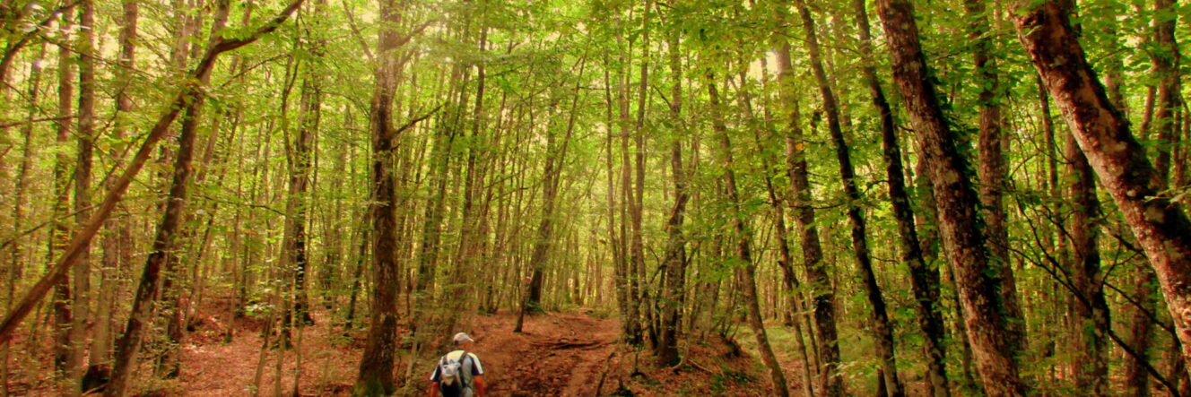 Trekking nel cuore del Montefeltro (San Leo e Carpegna, Marche)