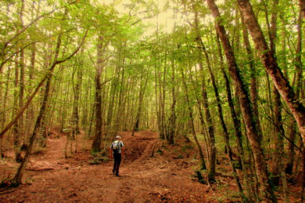 Trekking nel cuore del Montefeltro (San Leo e Carpegna, Marche)