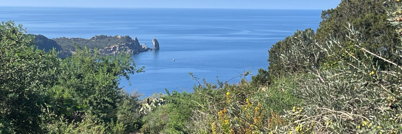 TREKKING ALL’ISOLA DEL GIGLIO – DA EST A OVEST, DA NORD A SUD