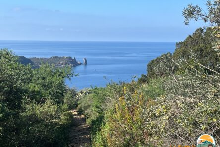 TREKKING ALL’ISOLA DEL GIGLIO – DA EST A OVEST, DA NORD A SUD